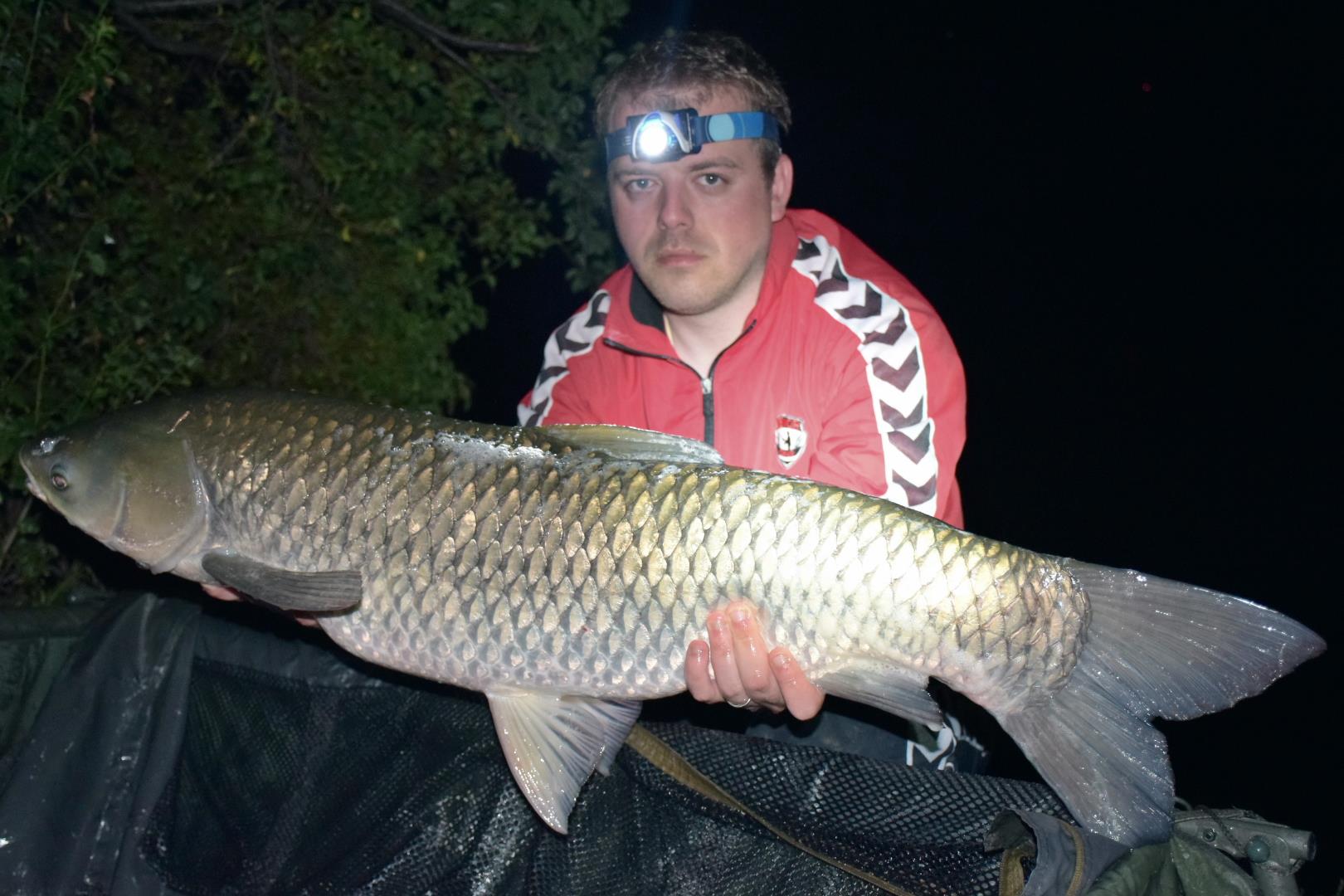 Tancabesti 13 - 15 aug. - 15